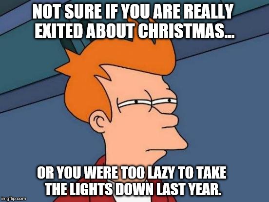 Futurama Fry | NOT SURE IF YOU ARE REALLY EXITED ABOUT CHRISTMAS... OR YOU WERE TOO LAZY TO TAKE THE LIGHTS DOWN LAST YEAR. | image tagged in memes,futurama fry | made w/ Imgflip meme maker