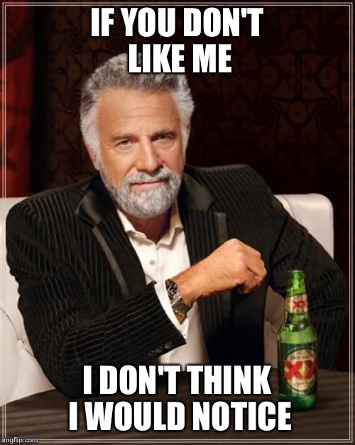 The Most Interesting Man In The World Meme | IF YOU DON'T LIKE ME I DON'T THINK I WOULD NOTICE | image tagged in memes,the most interesting man in the world | made w/ Imgflip meme maker