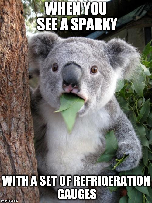 Surprised Koala | WHEN YOU SEE A SPARKY WITH A SET OF REFRIGERATION GAUGES | image tagged in memes,surprised koala | made w/ Imgflip meme maker