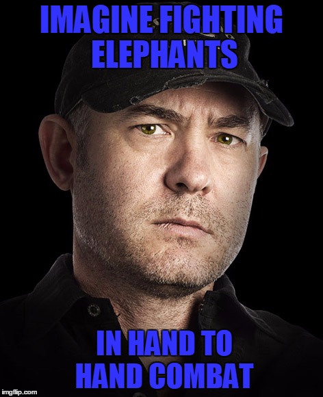 IMAGINE FIGHTING ELEPHANTS IN HAND TO HAND COMBAT | image tagged in dancarlin | made w/ Imgflip meme maker