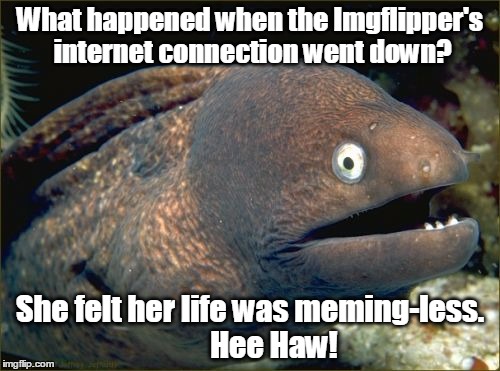 Introducing:  the politically correct feminine pronoun activist bad joke imgflip-obssessed eel (who laughs like a donkey) | What happened when the Imgflipper's internet connection went down? She felt her life was meming-less.        Hee Haw! | image tagged in memes,bad joke eel,donkey,imgflip,internet,meaningless | made w/ Imgflip meme maker