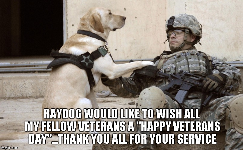 Always remember that "FREEDOM" is not free. | RAYDOG WOULD LIKE TO WISH ALL MY FELLOW VETERANS A "HAPPY VETERANS DAY"...THANK YOU ALL FOR YOUR SERVICE | image tagged in military dog,veterans,military,military k9,happy veterans day | made w/ Imgflip meme maker
