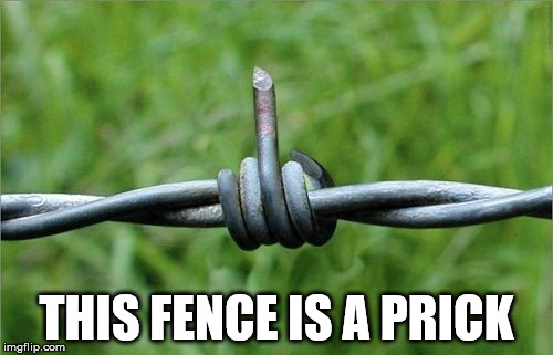 what a prick | THIS FENCE IS A PRICK | image tagged in fence f u | made w/ Imgflip meme maker