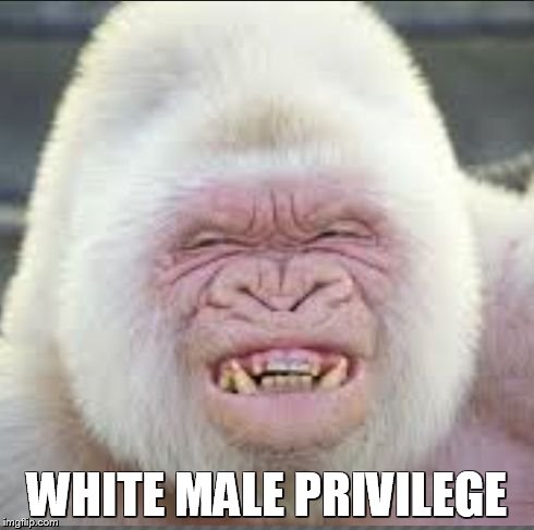 white male priv. | WHITE MALE PRIVILEGE | image tagged in white male priv | made w/ Imgflip meme maker