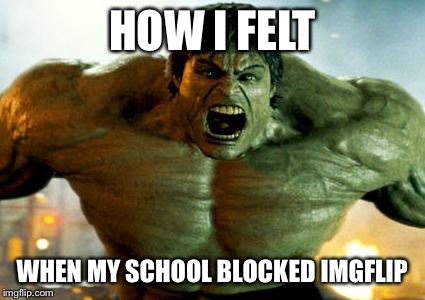 hulk | HOW I FELT WHEN MY SCHOOL BLOCKED IMGFLIP | image tagged in hulk | made w/ Imgflip meme maker