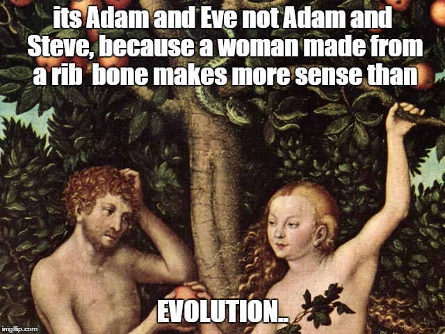 adam and eve | its Adam and Eve not Adam and Steve, because a woman made from a rib  bone makes more sense than EVOLUTION.. | image tagged in adam and eve | made w/ Imgflip meme maker