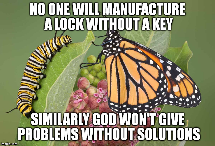 y u no feature this meme | NO ONE WILL MANUFACTURE A LOCK WITHOUT A KEY SIMILARLY GOD WON'T GIVE PROBLEMS WITHOUT SOLUTIONS | image tagged in butterfly,meme | made w/ Imgflip meme maker