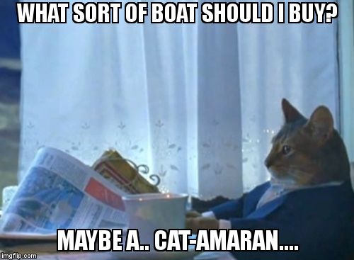 I should buy me a bad joke... | WHAT SORT OF BOAT SHOULD I BUY? MAYBE A.. CAT-AMARAN.... | image tagged in memes,i should buy a boat cat | made w/ Imgflip meme maker