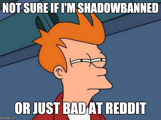 Futurama Fry | NOT SURE IF I'M SHADOWBANNED OR JUST BAD AT REDDIT | image tagged in memes,futurama fry,AdviceAnimals | made w/ Imgflip meme maker