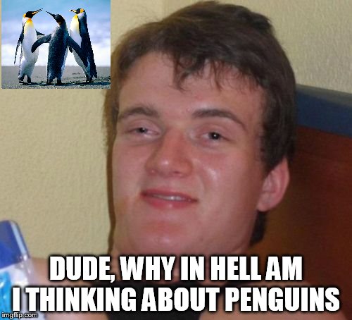10 Guy | DUDE, WHY IN HELL AM I THINKING ABOUT PENGUINS | image tagged in memes,10 guy | made w/ Imgflip meme maker