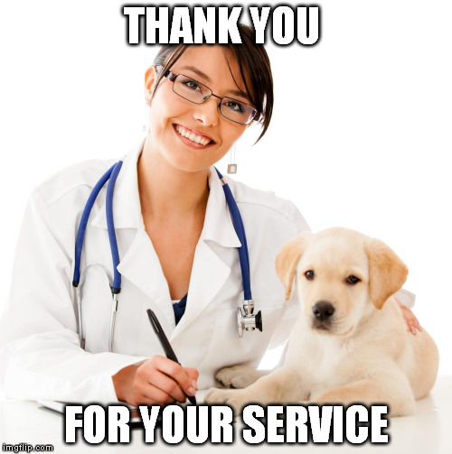 Happy vets day! | THANK YOU FOR YOUR SERVICE | image tagged in veterinarian,vets day,thank a vet today,veterans day | made w/ Imgflip meme maker