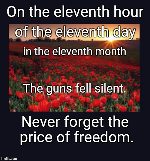 The eleventh hour | On the eleventh hour of the eleventh day in the eleventh month The guns fell silent. Never forget the price of freedom. | image tagged in veterans day,freedom,price,eleventh hour,eleventh day,eleventh month | made w/ Imgflip meme maker