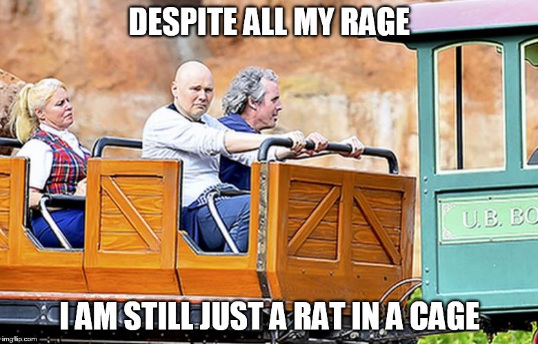 Billy Corgan is Hard to Please | DESPITE ALL MY RAGE I AM STILL JUST A RAT IN A CAGE | image tagged in memes,bullet with butterfly wings,disney | made w/ Imgflip meme maker