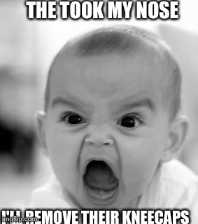 Angry Baby Meme | THE TOOK MY NOSE I'LL REMOVE THEIR KNEECAPS | image tagged in memes,angry baby | made w/ Imgflip meme maker