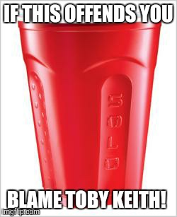 IF THIS OFFENDS YOU BLAME TOBY KEITH! | image tagged in solo,red cup,offended | made w/ Imgflip meme maker