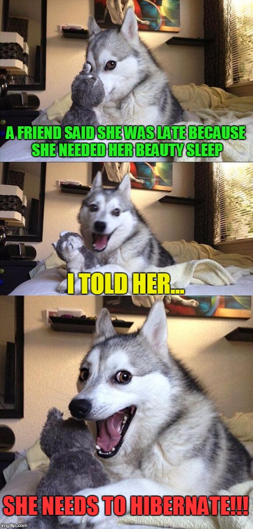 Bad Pun Dog | A FRIEND SAID SHE WAS LATE BECAUSE SHE NEEDED HER BEAUTY SLEEP I TOLD HER... SHE NEEDS TO HIBERNATE!!! | image tagged in memes,bad pun dog | made w/ Imgflip meme maker