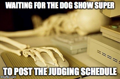 waiting skeleton dog shows | WAITING FOR THE DOG SHOW SUPER TO POST THE JUDGING SCHEDULE | image tagged in waiting skeleton,waiting,still waiting,dog show,memes,meme | made w/ Imgflip meme maker