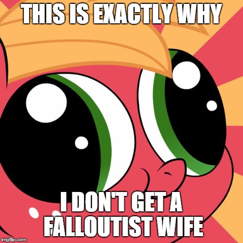 Racist-Mac | THIS IS EXACTLY WHY I DON'T GET A FALLOUTIST WIFE | image tagged in racist-mac | made w/ Imgflip meme maker