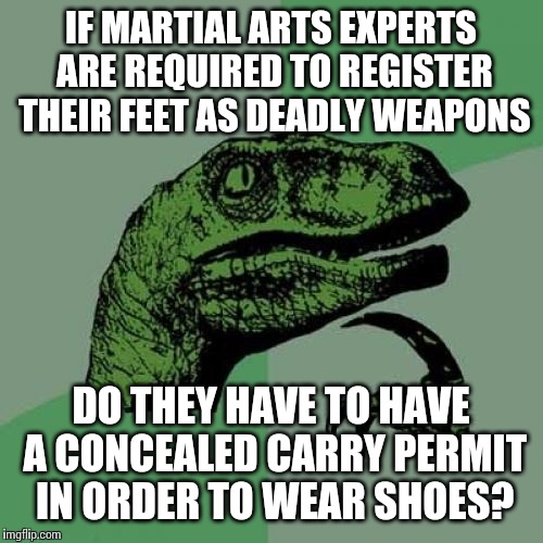 Philosoraptor | IF MARTIAL ARTS EXPERTS ARE REQUIRED TO REGISTER THEIR FEET AS DEADLY WEAPONS DO THEY HAVE TO HAVE A CONCEALED CARRY PERMIT IN ORDER TO WEAR | image tagged in memes,philosoraptor,AdviceAnimals | made w/ Imgflip meme maker
