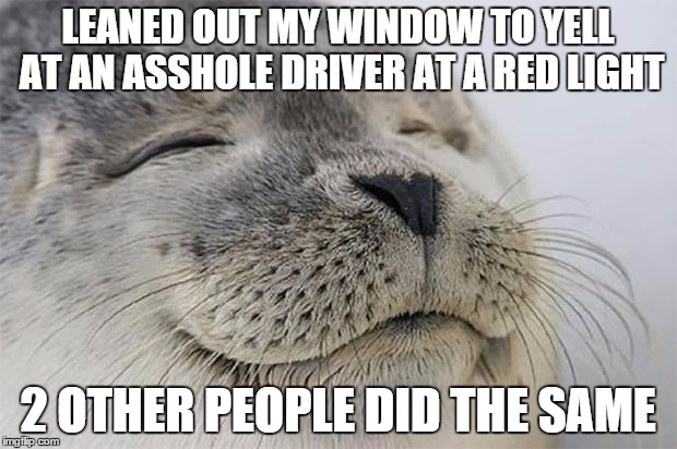 Satisfied Seal | LEANED OUT MY WINDOW TO YELL AT AN ASSHOLE DRIVER AT A RED LIGHT 2 OTHER PEOPLE DID THE SAME | image tagged in memes,satisfied seal,AdviceAnimals | made w/ Imgflip meme maker