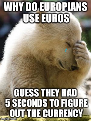 Facepalm Bear | WHY DO EUROPIANS USE EUROS GUESS THEY HAD 5 SECONDS TO FIGURE OUT THE CURRENCY | image tagged in memes,facepalm bear | made w/ Imgflip meme maker