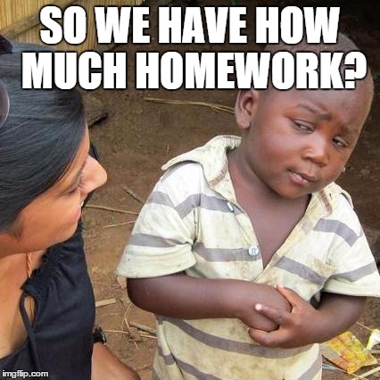 Third World Skeptical Kid Meme | SO WE HAVE HOW MUCH HOMEWORK? | image tagged in memes,third world skeptical kid | made w/ Imgflip meme maker