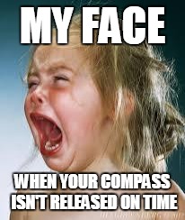 Crying Baby | MY FACE WHEN YOUR COMPASS ISN'T RELEASED ON TIME | image tagged in crying baby | made w/ Imgflip meme maker