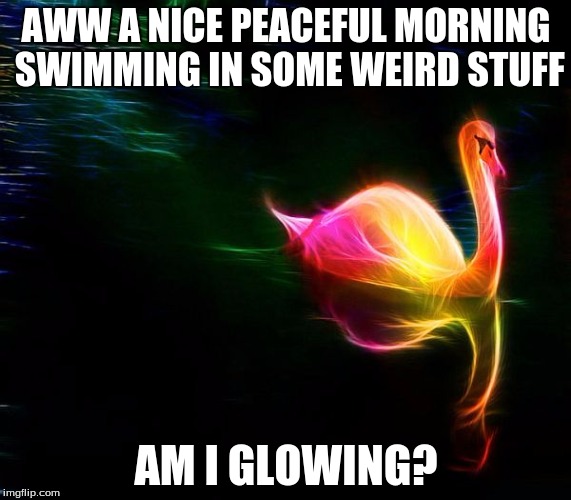 AWW A NICE PEACEFUL MORNING SWIMMING IN SOME WEIRD STUFF AM I GLOWING? | image tagged in morning | made w/ Imgflip meme maker