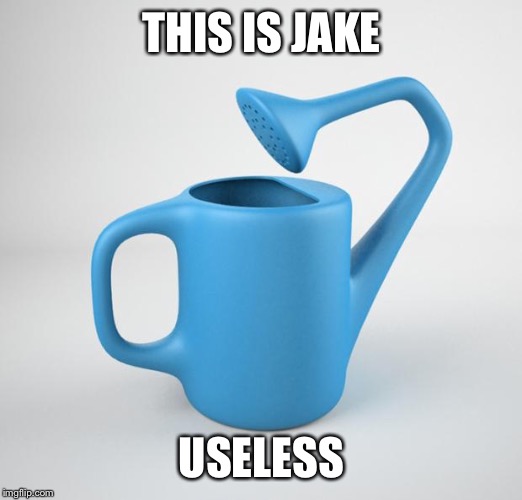useless stuff | THIS IS JAKE USELESS | image tagged in useless stuff | made w/ Imgflip meme maker