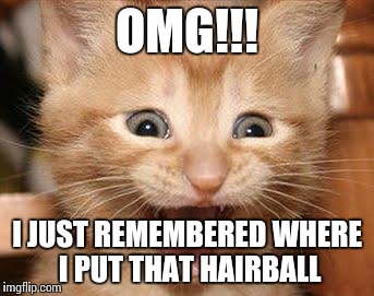 Excited Cat | OMG!!! I JUST REMEMBERED WHERE I PUT THAT HAIRBALL | image tagged in memes,excited cat | made w/ Imgflip meme maker
