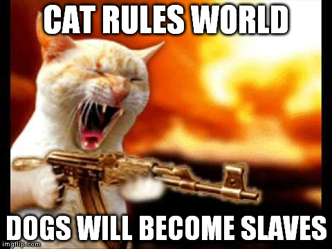 CAT RULES WORLD DOGS WILL BECOME SLAVES | image tagged in angry cat | made w/ Imgflip meme maker