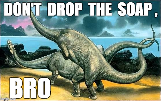 Dino Bro Soap | DON'T  DROP  THE  SOAP , BRO | image tagged in dinosaurs,jail,dino,justin bieber | made w/ Imgflip meme maker