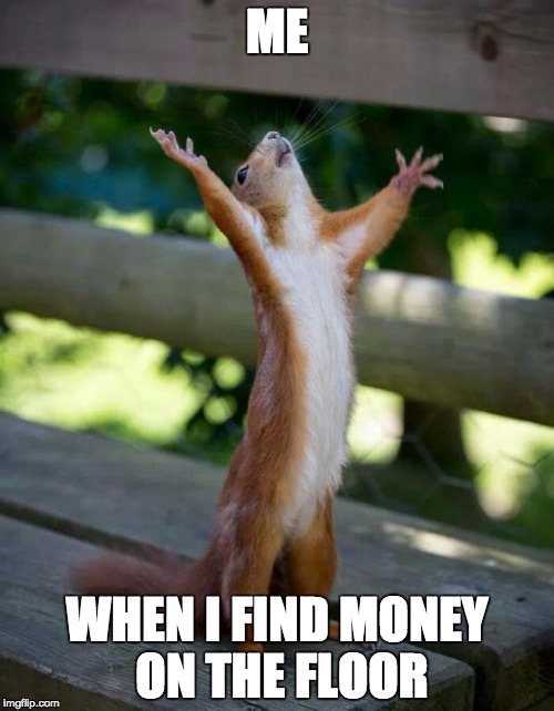 Money, money, money! | ME WHEN I FIND MONEY ON THE FLOOR | image tagged in happy squirrel,money,dollar,pound | made w/ Imgflip meme maker