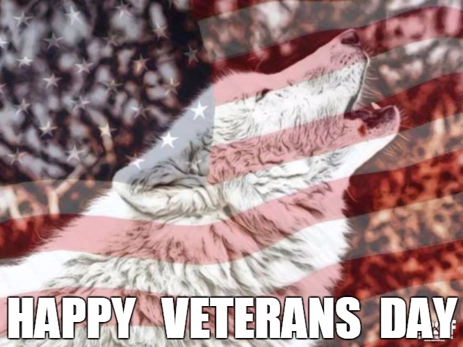 Happy Veterans Day | HAPPY   VETERANS  DAY | image tagged in wolf n flag,veterans day | made w/ Imgflip meme maker