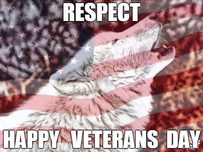 Respect | RESPECT | image tagged in respect,veterans day | made w/ Imgflip meme maker