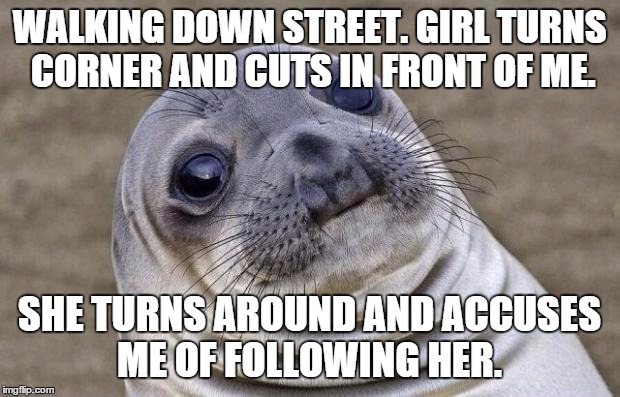 Awkward Moment Sealion | WALKING DOWN STREET. GIRL TURNS CORNER AND CUTS IN FRONT OF ME. SHE TURNS AROUND AND ACCUSES ME OF FOLLOWING HER. | image tagged in memes,awkward moment sealion | made w/ Imgflip meme maker