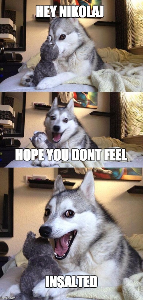Bad Pun Dog | HEY NIKOLAJ HOPE YOU DONT FEEL INSALTED | image tagged in memes,bad pun dog | made w/ Imgflip meme maker