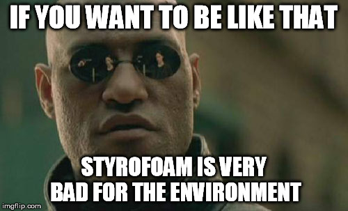 Matrix Morpheus Meme | IF YOU WANT TO BE LIKE THAT STYROFOAM IS VERY BAD FOR THE ENVIRONMENT | image tagged in memes,matrix morpheus | made w/ Imgflip meme maker
