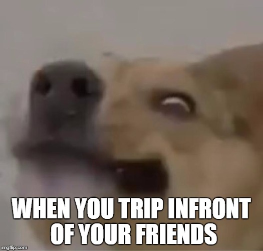 Smayuhl | WHEN YOU TRIP INFRONT OF YOUR FRIENDS | image tagged in smayuhl | made w/ Imgflip meme maker