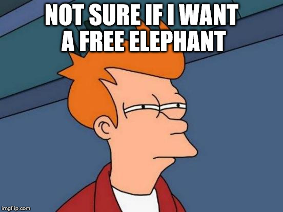 Futurama Fry Meme | NOT SURE IF I WANT A FREE ELEPHANT | image tagged in memes,futurama fry | made w/ Imgflip meme maker