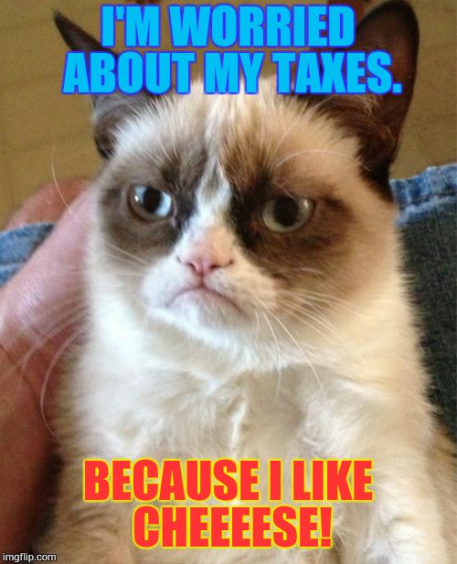 Grumpy Cat Meme | I'M WORRIED ABOUT MY TAXES. BECAUSE I LIKE CHEEEESE! | image tagged in memes,grumpy cat | made w/ Imgflip meme maker