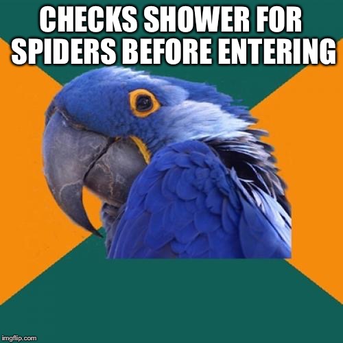 Paranoid Parrot | CHECKS SHOWER FOR SPIDERS BEFORE ENTERING | image tagged in memes,paranoid parrot | made w/ Imgflip meme maker