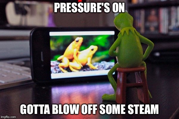 PRESSURE'S ON GOTTA BLOW OFF SOME STEAM | image tagged in meme,sean connery kermit | made w/ Imgflip meme maker