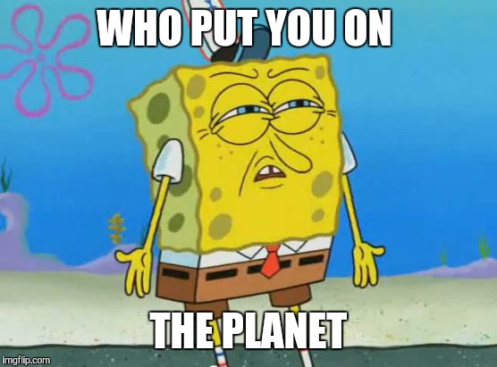 Angry Spongebob | WHO PUT YOU ON THE PLANET | image tagged in angry spongebob | made w/ Imgflip meme maker