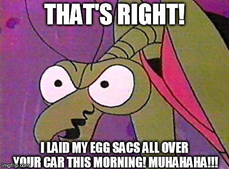 Zorak Mantis memes 4 | THAT'S RIGHT! I LAID MY EGG SACS ALL OVER YOUR CAR THIS MORNING! MUHAHAHA!!! | image tagged in zorak mantis memes 4 | made w/ Imgflip meme maker