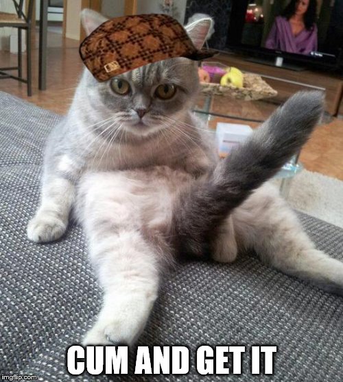 Sexy Cat | CUM AND GET IT | image tagged in memes,sexy cat,scumbag | made w/ Imgflip meme maker
