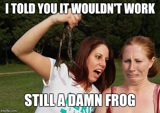 I TOLD YOU IT WOULDN'T WORK STILL A DAMN FROG | image tagged in frog,memes | made w/ Imgflip meme maker