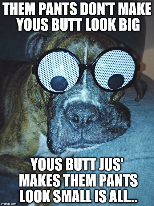 georgetheboxerdog | THEM PANTS DON'T MAKE YOUS BUTT LOOK BIG YOUS BUTT JUS' MAKES THEM PANTS LOOK SMALL IS ALL... | image tagged in georgetheboxerdog | made w/ Imgflip meme maker