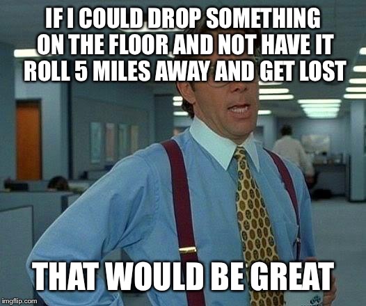 That Would Be Great | IF I COULD DROP SOMETHING ON THE FLOOR AND NOT HAVE IT ROLL 5 MILES AWAY AND GET LOST THAT WOULD BE GREAT | image tagged in memes,that would be great | made w/ Imgflip meme maker
