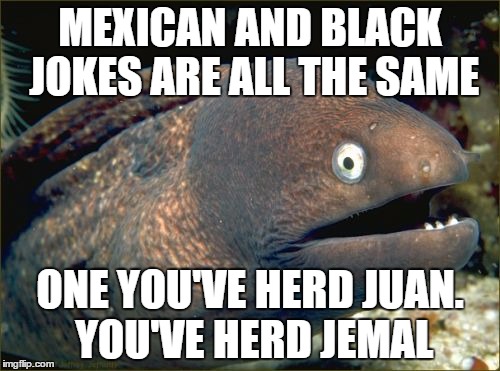 Bad Joke Eel | MEXICAN AND BLACK JOKES ARE ALL THE SAME ONE YOU'VE HERD JUAN. YOU'VE HERD JEMAL | image tagged in memes,bad joke eel | made w/ Imgflip meme maker